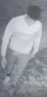 suspect photo