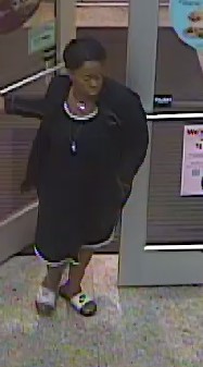 Lakeland Septic credit card theft female suspect